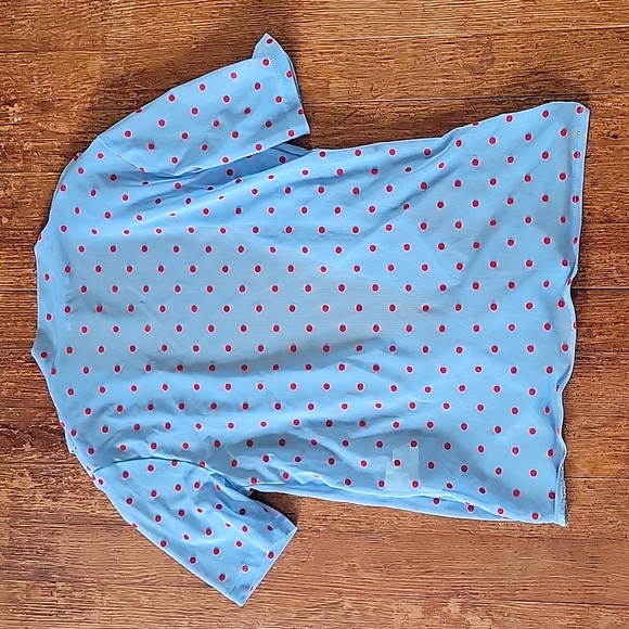 NWOT Zara Sheer Polka Dot Top S - Picture 3 of 3